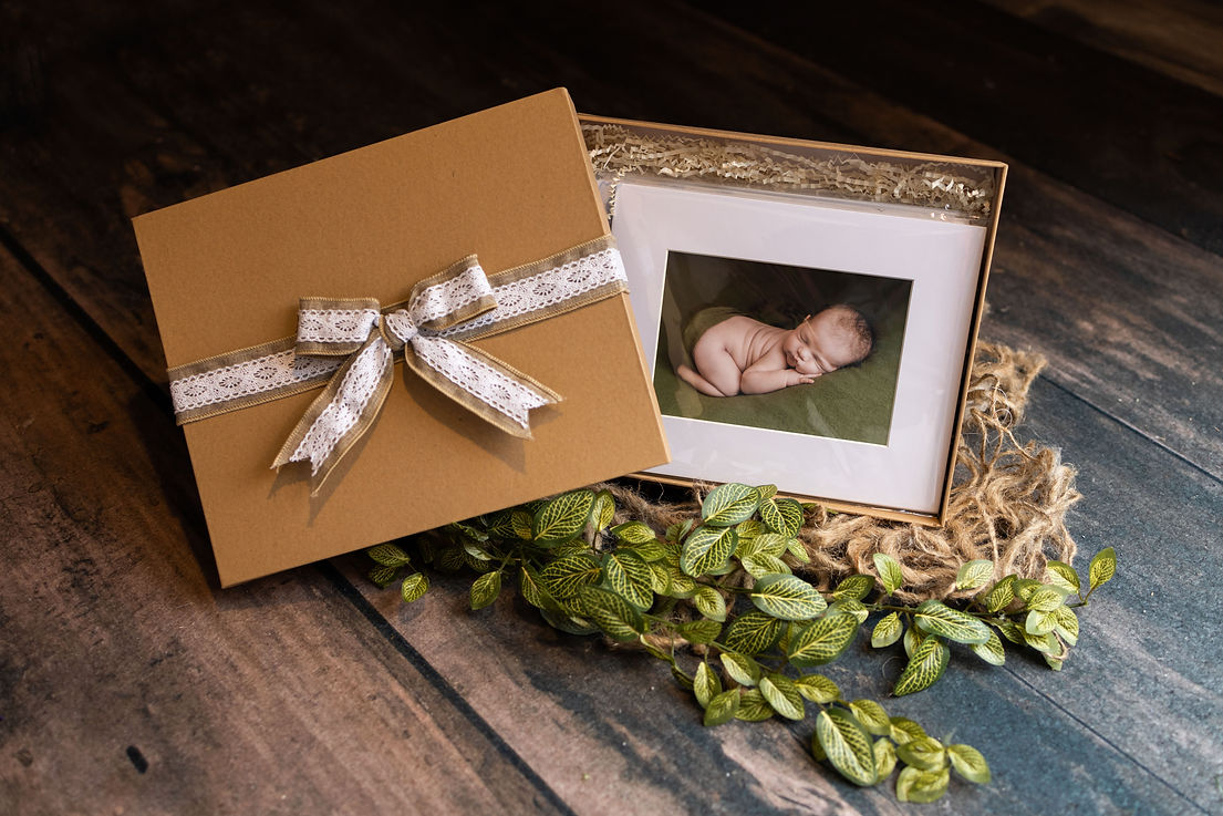 Product image from Fenton, Michigan newborn photographer Ashley Szokola Photography