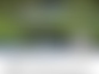 IAMAW DISTRICT 142 GOLF EVENT AND SOCIAL