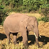 IMG_3821.jpeg