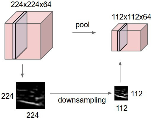 This is how down-sampling is done using max pooling