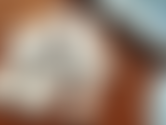 Realtor fees in Florida