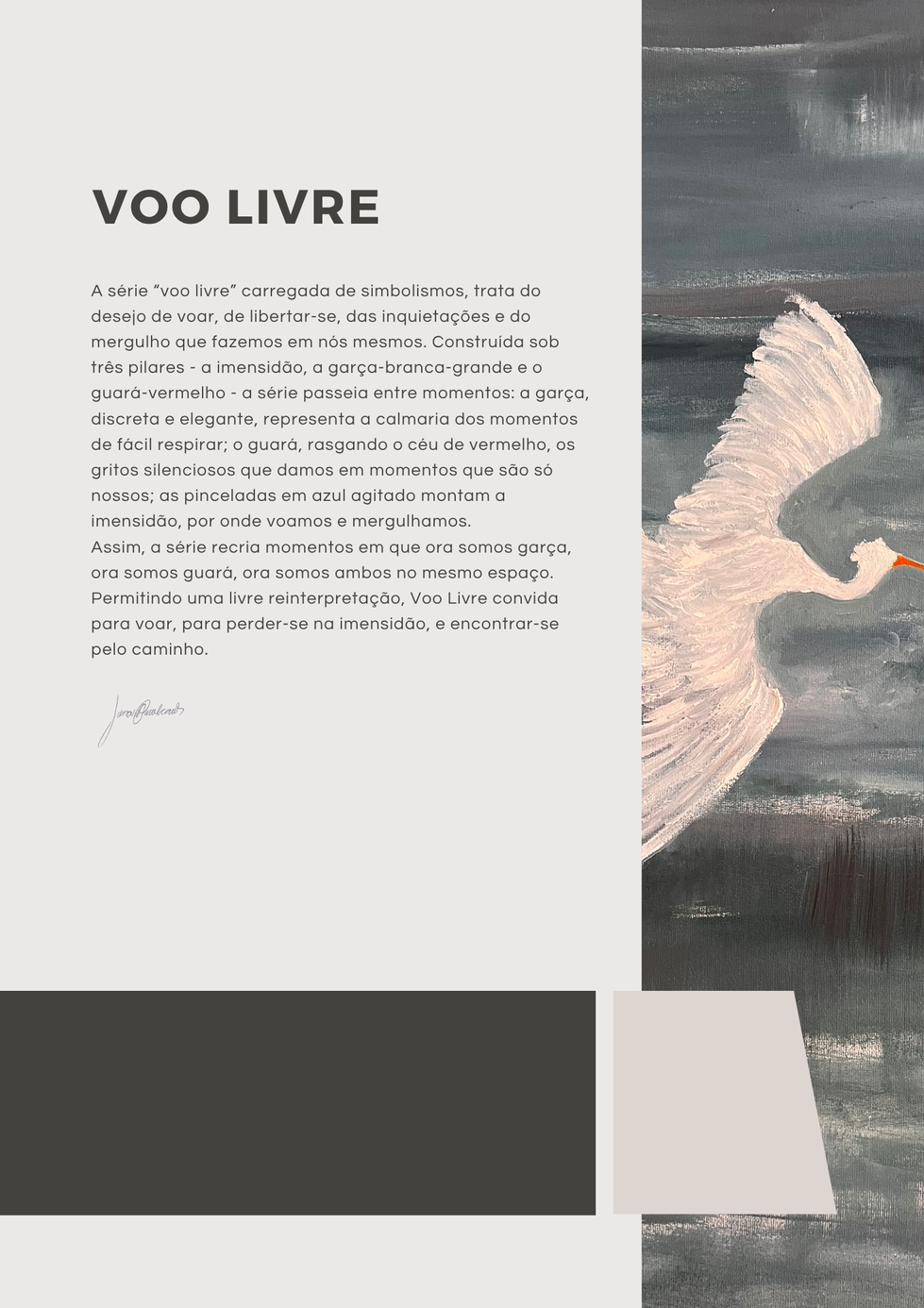 Cópia de Série Voo livre.zip - 2.png