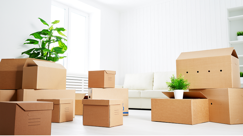 moving-boxes-various.webp