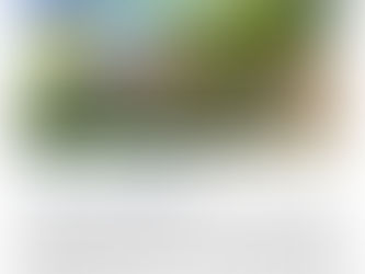 Newsletter - FALL 2025-SPECIAL EDITION