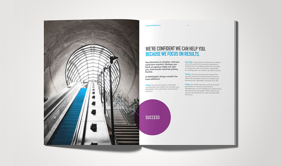 Success brochure concepts