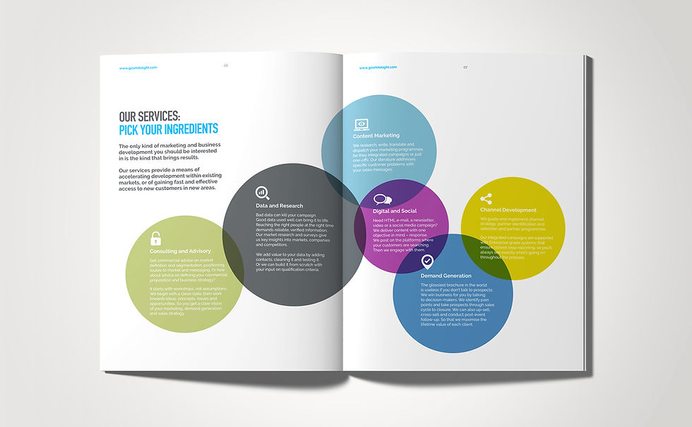 Services brochure spread by Radiate Design