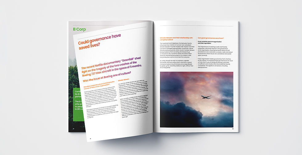 Beyond Governance Brochure Design