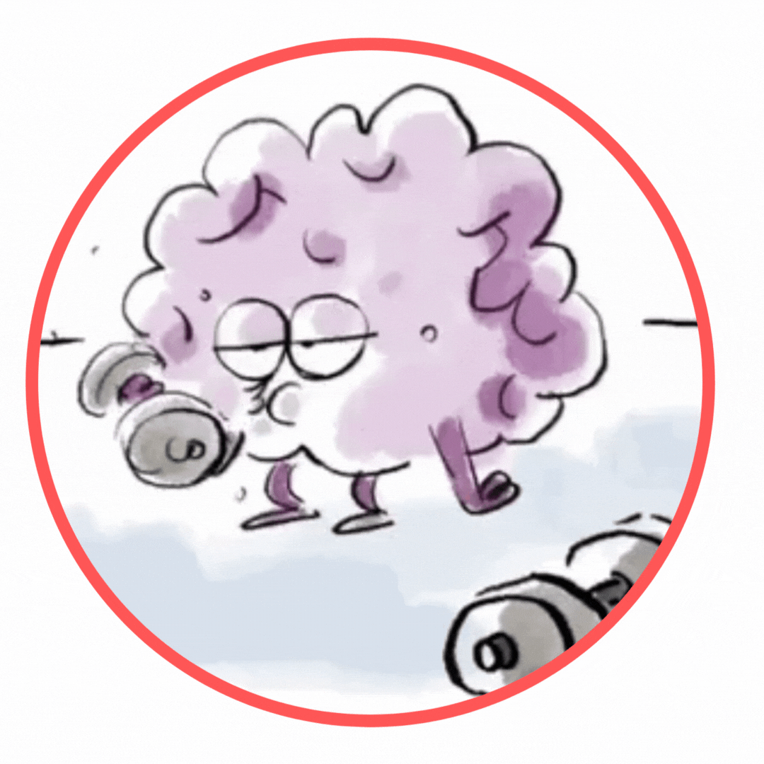 Charte Graphique (1).gif