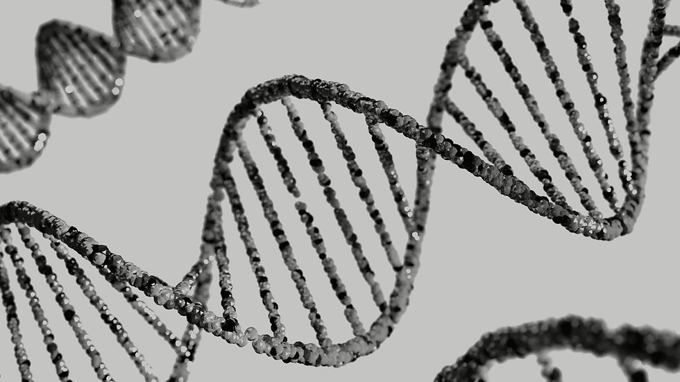 DNA Doppia Elica
