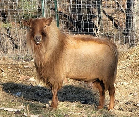 MATHIOT'S PARADISE UNZIPPED.jpg