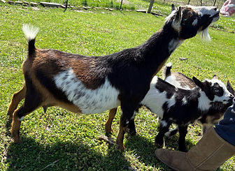 3c616398-8c0e-4000-b1e2-632394583232_edited.jpg