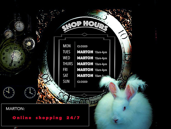 wps-MARTON Shop Hours3_edited.jpg