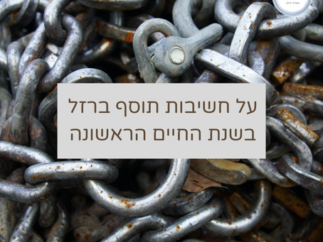 על חשיבות הברזל בשנה הראשונה לחיים