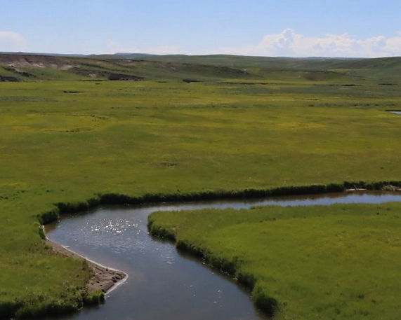 Hayden Valley Creek, Yellowstone Park. Yellowstone Safari Tour