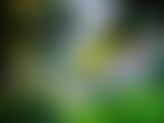 Cornish Cottage Homestead