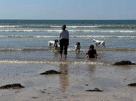 Breaking Free: How I Stopped Living for Everyone Else and Finally Chose Happiness