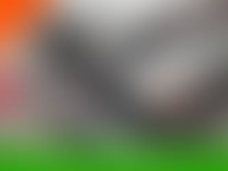 Jeep Gladiator Rubicon 2022