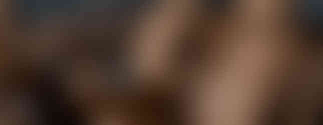 range-rover-vogue-2021-ava-ci-img27