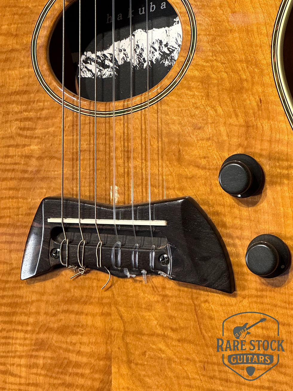 サムネイル： Mosrite Hakuba Electric Gut Guitar