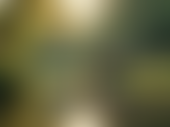 Empowering Survivors: Resources for Healing and Justice