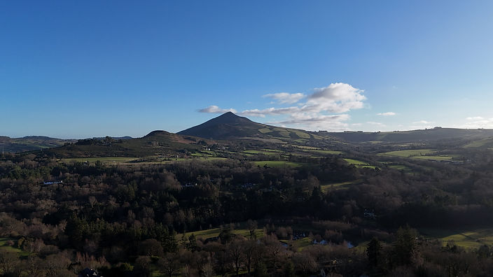 dji_fly_20250206_153642_0019_1738857530229_photo.jpg