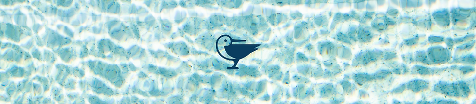Padre Island Rentals Portfolio