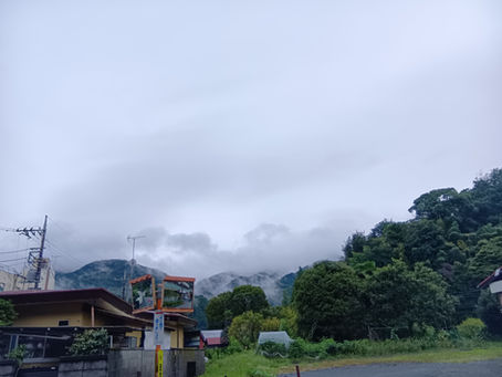 めっちゃ☔️ふる。