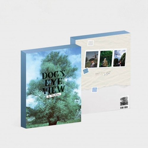 DOG’S EYE VIEW POSTCARD BY TAY TAWAN Dog's Eye View Postcard Boxset by Tay Tawan | Webuybangkok
