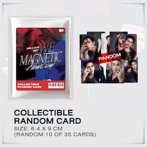 GMMTV WilliamEst FANCON ランダムカード ノーマル セット GMMTV WilliamEst FANCON ランダムトレカ ノーマル 30種セット