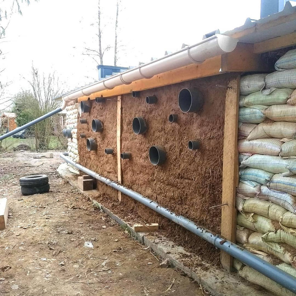 Torchis Superadobe.jpg
