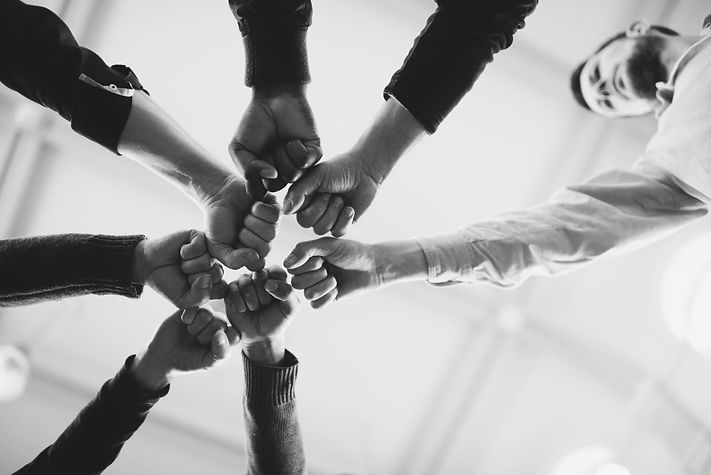 Fists in Solidarity_edited.jpg