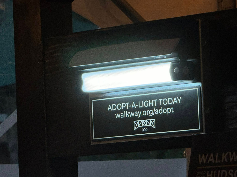 Adopt A Light Annual Donor Event. 