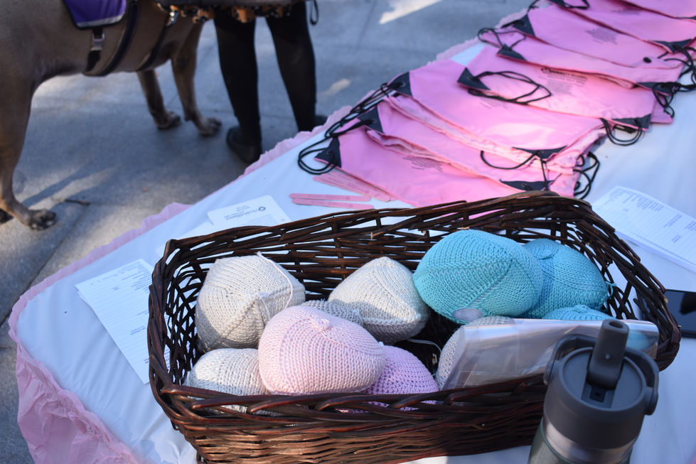 Sue Serino's Breast Cancer Expo