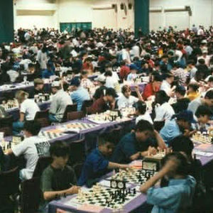 National Chess By Jami Anson