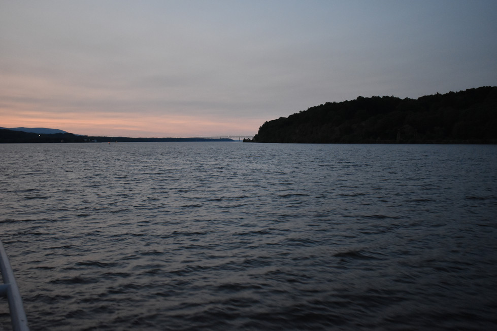 DSC_0351