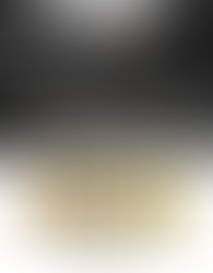 Anúncio Flip Skateboards