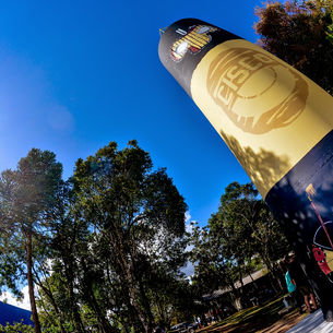 Fotos Cisco Skate X Baycroc