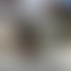 Alex Carolino | Tribo Skate #241