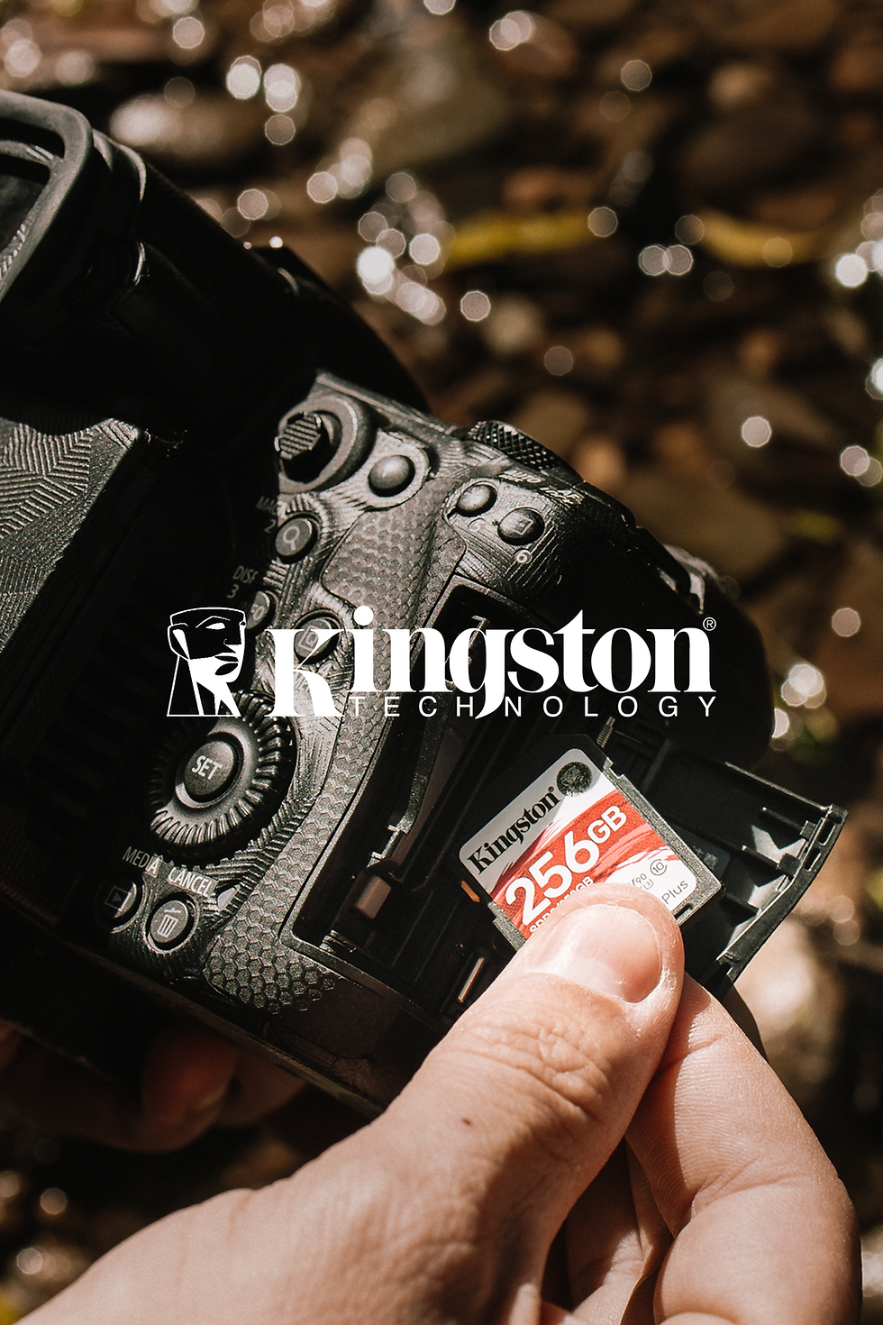 kingston.png