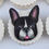 תמונה ממוזערת: Boston Terrier Cupcakes
