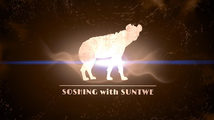 VIDDYOZE-Energy Burst Logo.mp4.Still002.jpg