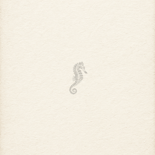 designs + background - 20.PNG