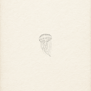 designs + background - 23.PNG