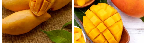 processed fruit pulp.png