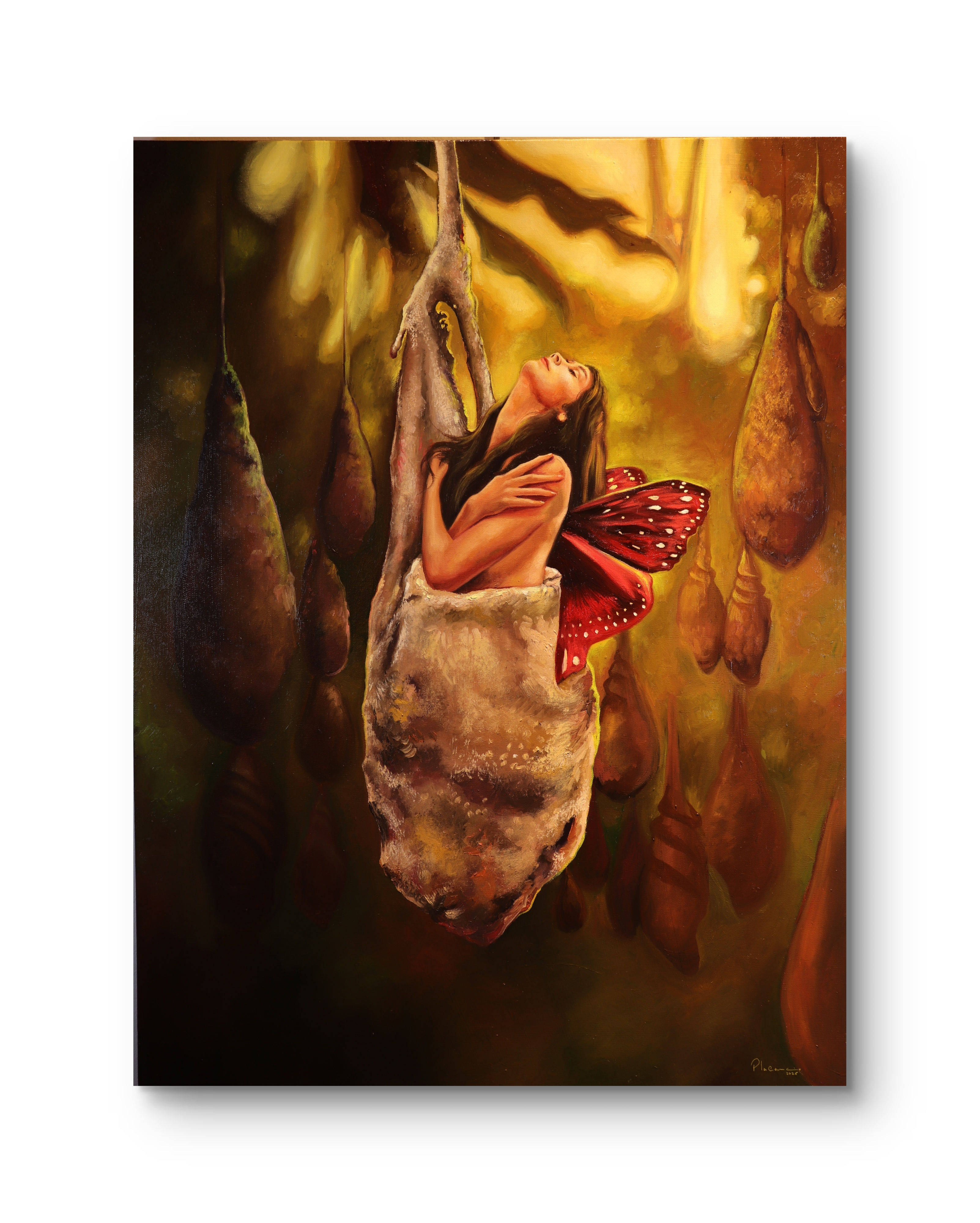 Emerging from the Cocoon Art Print