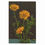 Miniaturbild: Karte 801 Goldblume