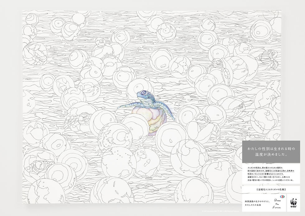 ウミガメポスター