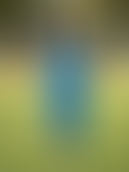 Happy Indian girl in a blue cotton romper jumpsuit running barefoot in a green park.