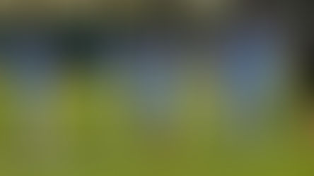 Después de la tormenta... ¿saldrá el sol?