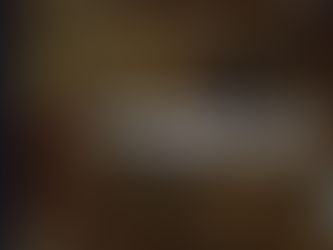 Potion Permit iOS 16.7.6